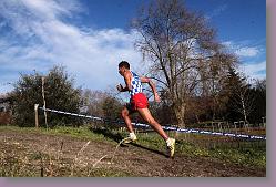 Begles 15.12.13 01 647 * 679 x 453 * (150KB)